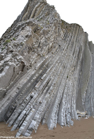 Falaise avec alternances gréso-calcaires / marnes argileuses du Thanétien, juste au Nord du GSSP Sélandien/Thanétien, Zumaia (Espagne)