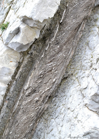 Schistosité dans les marnes de l'alternance grès calcaires / marnes argileuses du Thanétien, juste au Nord du GSSP Sélandien/Thanétien, Zumaia (Espagne)