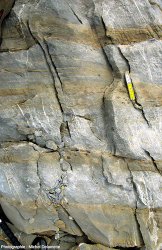Niveaux de calcaires priaboniens (calcarénites plus ou moins riches en fossiles de dentale), secteur de Barmerousse (Passy, Haute Savoie)