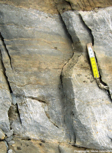 Vue rapprochée sur des calcaires priaboniens (calcarénites plus ou moins riches en fossiles de dentale), secteur de Barmerousse (Passy, Haute Savoie)