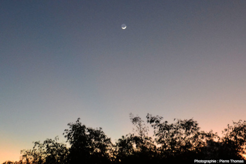 La Lune, avec lumière cendrée, au petit matin du 24 novembre 2019 à Kourou (Guyane)