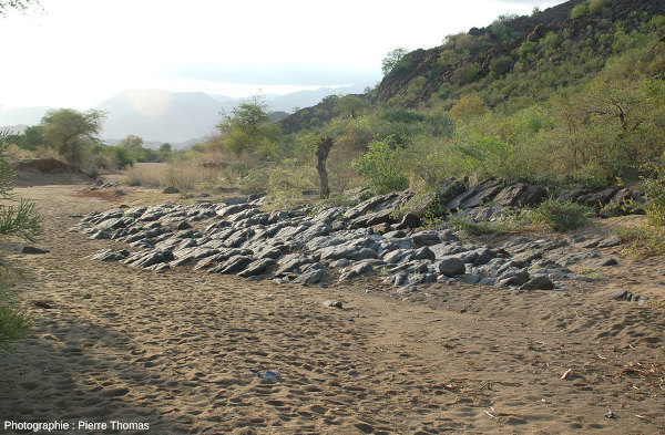 Site montrant des couches de péridotites bien stratifiées affleurant dans le lit d'une petite rivière asséchée, Jagdlust, partie orientale du massif du Bushveld, Afrique du Sud