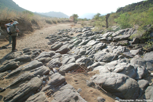 Couches de péridotites bien stratifiées affleurant dans le lit d'une petite rivière asséchée, Jagdlust, partie orientale du massif du Bushveld, Afrique du Sud