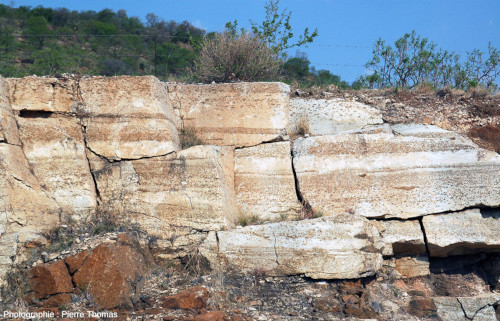 Affleurement avec des alternances norite-anorthosite près de Tweefontein, Bushveld (Afrique du Sud)