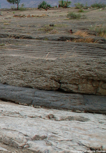 Zoom sur le lit de chromite de la figure précédente, avec son mur d'anorthosite et son toit de pyroxénite, ferme Maangaadshoek, Afrique du Sud