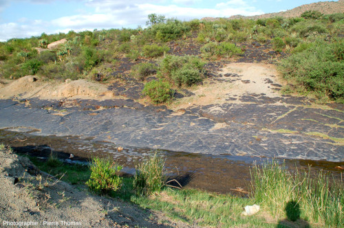 Couche de magnétite (Fe3O4) vue “de face”, Magnet Hill, complexe du Bushveld (Afrique du Sud)