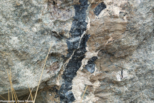 Gros plan sur le filon (complexe) carbonatite/magnétite du centre du bloc de la figure précédente, Palabora (Afrique du Sud)