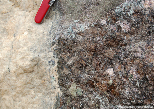 Détail du contact filon de carbonatite / phlogopitite du bloc des figures précédentes, Palabora (Afrique du Sud)