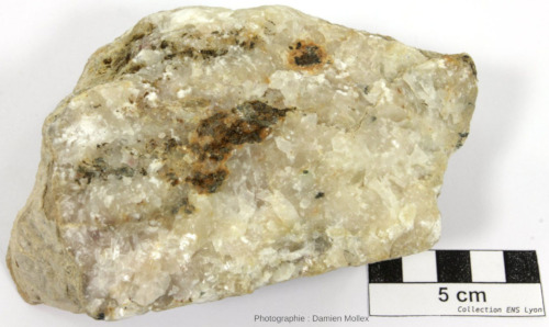 Échantillon de carbonatite presque entièrement constituée de calcite, ramassé à Palabora (Afrique du Sud)