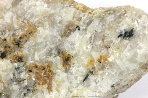 Détail d'un échantillon de carbonatite presque entièrement constituée de calcite, ramassé à Palabora (Afrique du Sud)