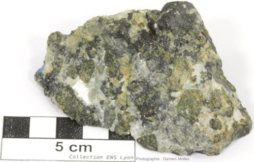 Carbonatite exceptionnellement riche en pyroxènes (automorphes et de couleur verte) et en magnétite (grise), Palabora (Afrique du Sud)