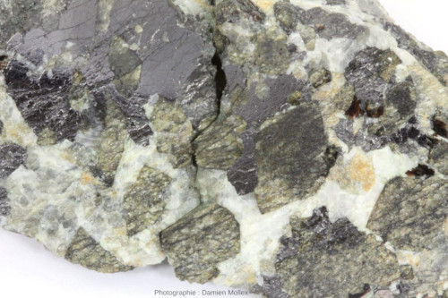 Détail d'une carbonatite exceptionnellement riche en pyroxènes (automorphes et de couleur verte) et en magnétite (grise), Palabora (Afrique du Sud)