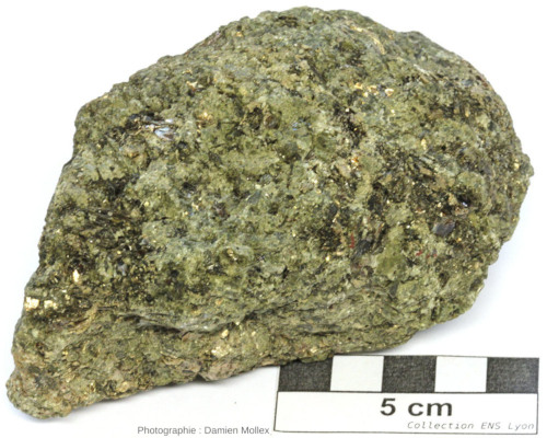 Pyroxénite très riche en mica (phlogopite) et sans doute en vermiculite (phyllosilicate), Palabora (Afrique du Sud)