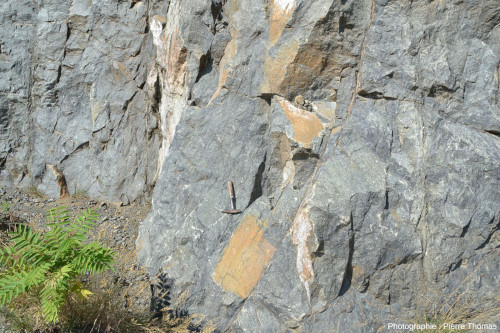 Vue rapprochée sur la paroi de péridotite de la carrière de Baldissero-Canavese (Piémont, Italie)