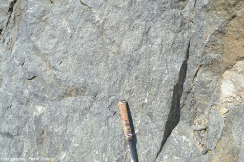 Détail de la paroi de péridotite de la carrière de Baldissero-Canavese (Piémont, Italie)