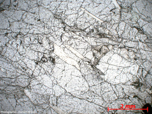 Lame mince en LPNA d'une péridotite de Finero (Piémont, Italie)
