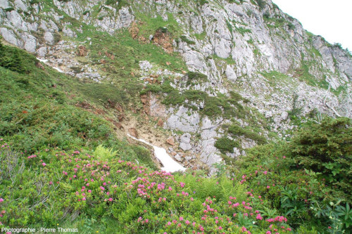 Falaise du ravin de Paumères, Ariège