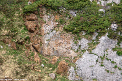 Détail de l'affleurement de péridotite du centre de la figure précédente, ravin de Paumère (Ariège)