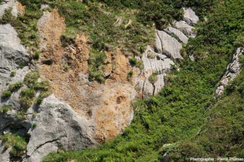 Vue rapprochée sur une passée bréchique rousse-orangée au sein des carbonates, ravin de Paumères (Ariège)