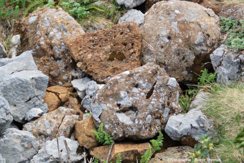 Éboulis contenant des blocs de carbonates, d'autres de péridotites et des blocs de brèche mixte calcaro-péridotitique, ravin de Paumères (Ariège)