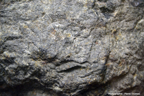 Gros plan sur la partie centrale de la météorite d’Ensisheim (Haut-Rhin)