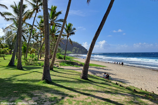 Une image de carte postale  : la plage de Grande Anse, au Sud de La Réunion, dominée par le piton du même nom en fond, son sable blond et ses cocotiers