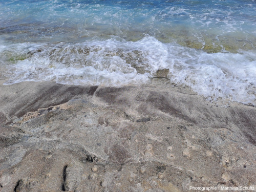 Détail du sable de la plage de Grande Anse (La Réunion)