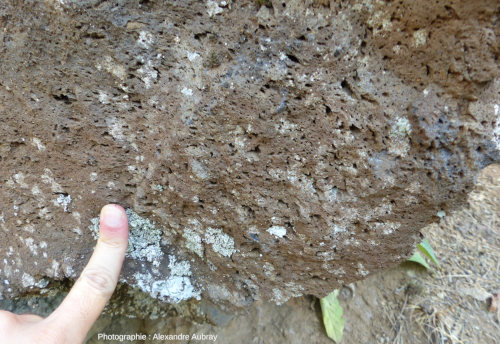 Détail des roches observables dans la coupe de Jaujac (Ardèche)