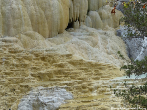 Détail des petits gours au pied de la cascade de travertins, Bagni San Filippo, Toscane (Italie)