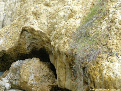 Détail de la base de la cascade de travertins, Bagni San Filippo, Toscane (Italie)