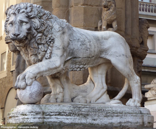 Un des deux lions des Médicis, celui sculpté à la fin du XVIe siècle,Florence (Italie)