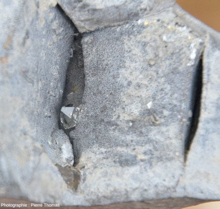 Zoom sur une fissure à calcite noire et quartz automorphe de la septaria de la figure précédente