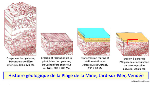 Histoire géologique de la Plage de la Mine (Vendée) resituée dans la chaine hercynienne