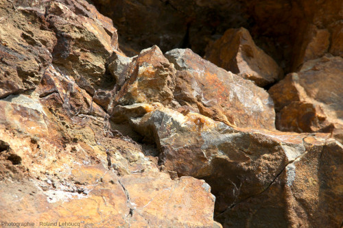 Cristallisations, très probablement de quartz, tapissant des fractures affectant le Lias silicifié de la Plage de la Mine (Vendée)