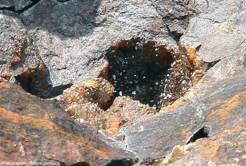 Zoom sur une géode de quartz citrin foncé située à une vingtaine de centimètres au-dessus de la discordance hercynienne sur la Plage de la Mine, Jard-sur-Mer (Vendée)