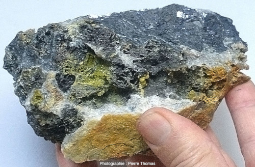 Échantillon collecté dans la mine des Farges (Corrèze), à cristaux vert intense de pyromorphite associés à de la galène
