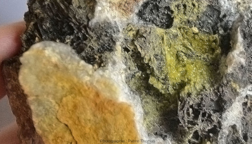 Détail d' un échantillon collecté dans la mine des Farges (Corrèze), à cristaux vert intense de pyromorphite associés à de la galène