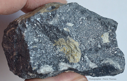 Échantillon de brèche à ciment de galène et à éléments de quartz (origine hydrothermale) et de fragments d'encaissant (ici des dolomies cambriennes)