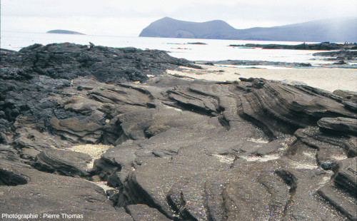 Mini-cuestas formées par l'érosion marine dans des dépôts de cendres volcaniques, ile Santiago (archipel des Galapagos, Équateur)