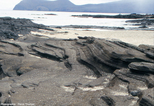 Mini-cuestas formées par l'érosion marine dans des dépôts de cendres volcaniques, ile Santiago (Galapagos, Équateur)
