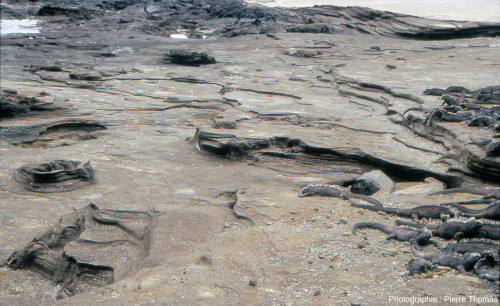 Autre secteur des plages de l'ile Santiago (Galapagos, Équateur) montrant des mini-cuestas
