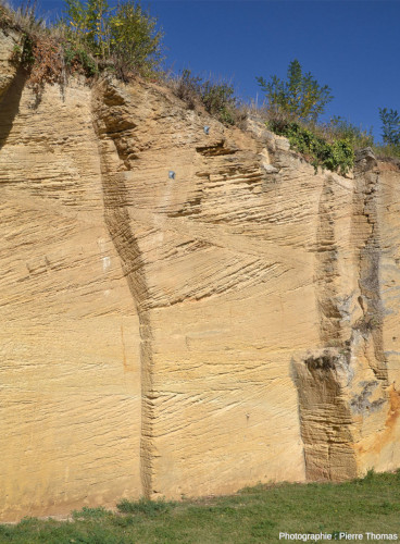 Front de taille à stratifications obliques de la falunière des Perrières (Doué-en-Anjou, Maine-et-Loire)