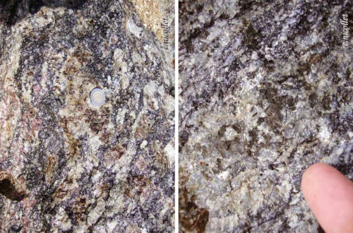 Vues macroscopiques des deux principaux faciès de la charnockite d'Ansignan