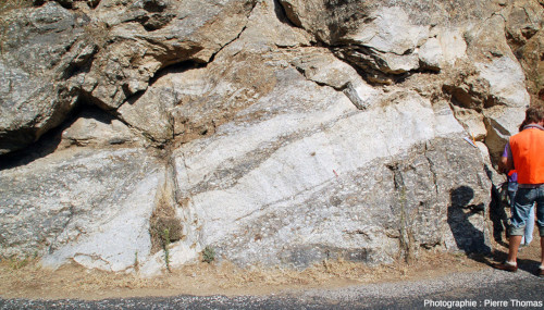 Intrication entre les deux faciès magmatiques acides de la charnockite d'Ansignan (Pyrénées-Orientales) : le faciès porphyroïde sombre et le faciès leucocrate