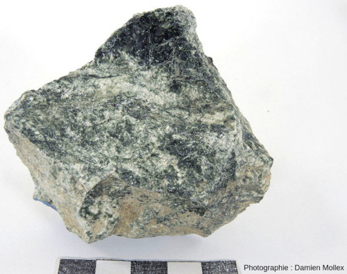 Échantillon peu altéré de cette roche verdâtre “coincée” entre la barre de calcaire dolomitique et le socle hercynien