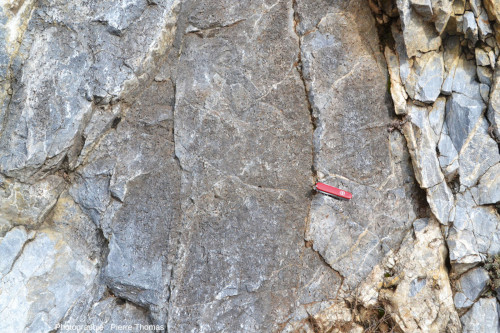 Vue avec un peu de recul sur le marbre à empreintes de scapolites du bord de la D619, Sournia (Pyrénées-Orientales)