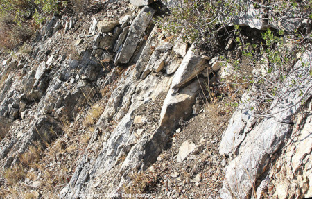 Schistosité à pendage très fort et de direction moyenne N120° affectant les marbres urgoniens sur le bord de la D9B, Trévillach (Pyrénées-Orientales)
