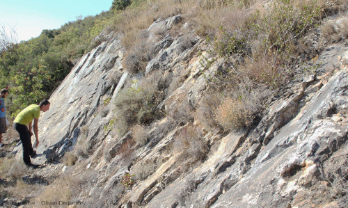 Vue globale des dalles de marbre vues “de profil”, bord de la D9B, Trévillach (Pyrénées-Orientales)