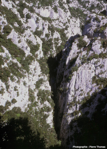 Détail sur le débouché Sud des gorges de Galamus dans le synclinal de Saint-Paul-de-Fenouillet (Pyrénées-Orientales)
