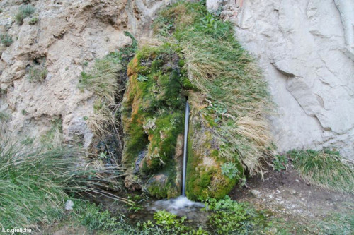 Exemple du source “pétrifiante” déposant du travertin dans la clue de la Fou (Pyrénées-Orientales)